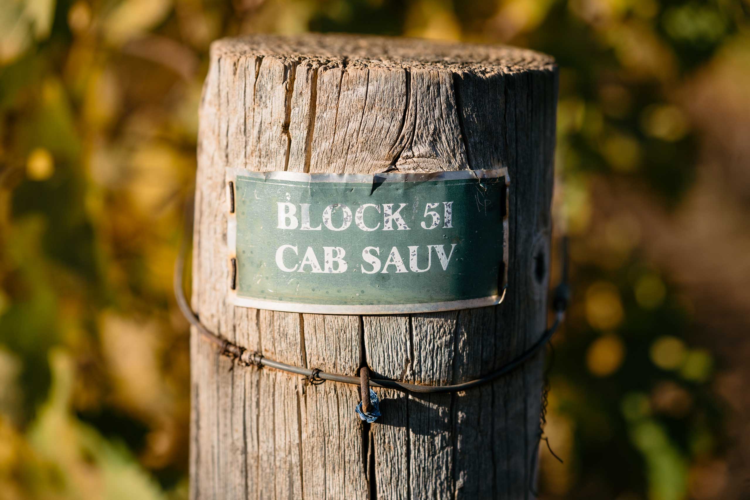 Cab 51 Cabernet Sauvignon Sign