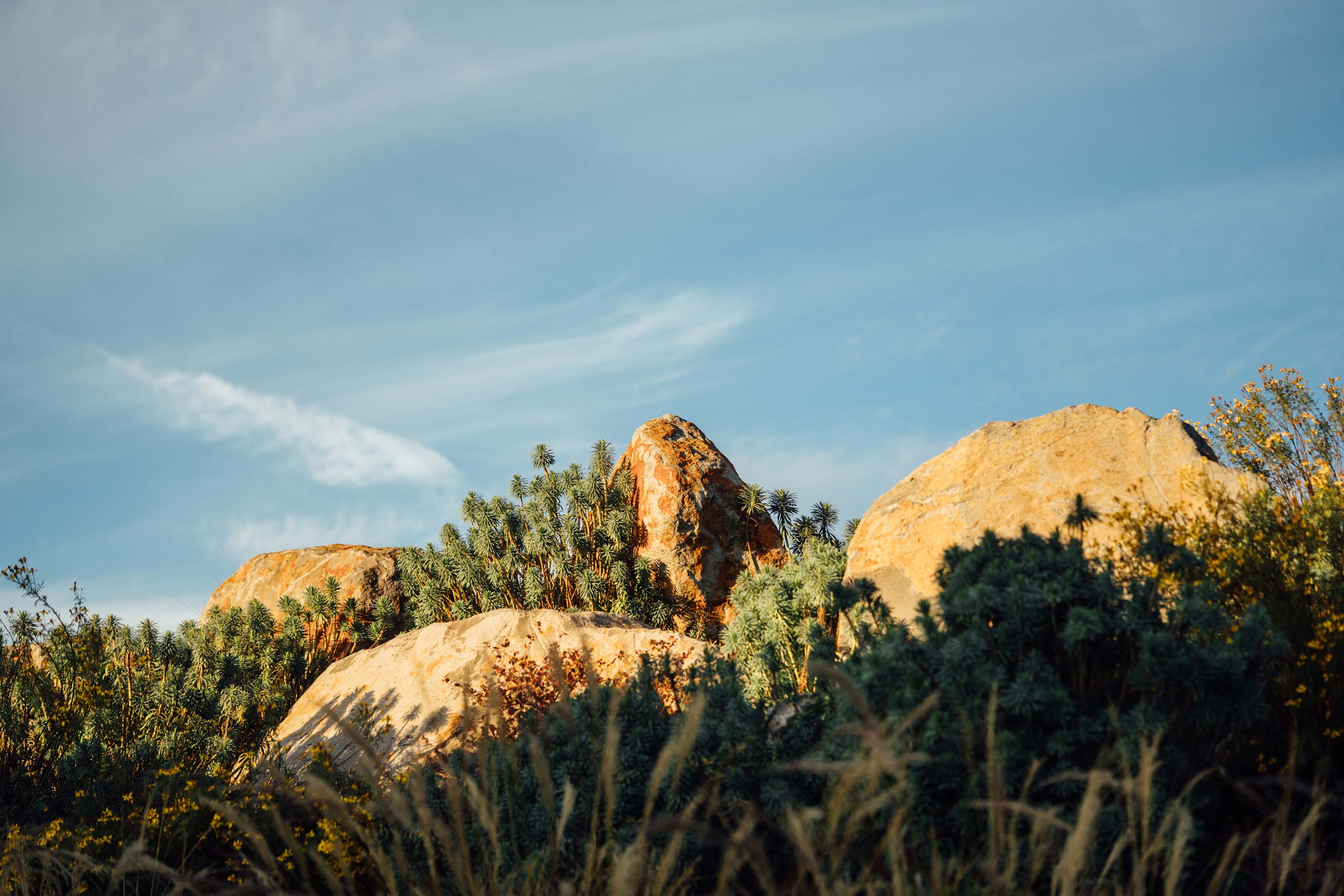 Rocky terrain at OVID