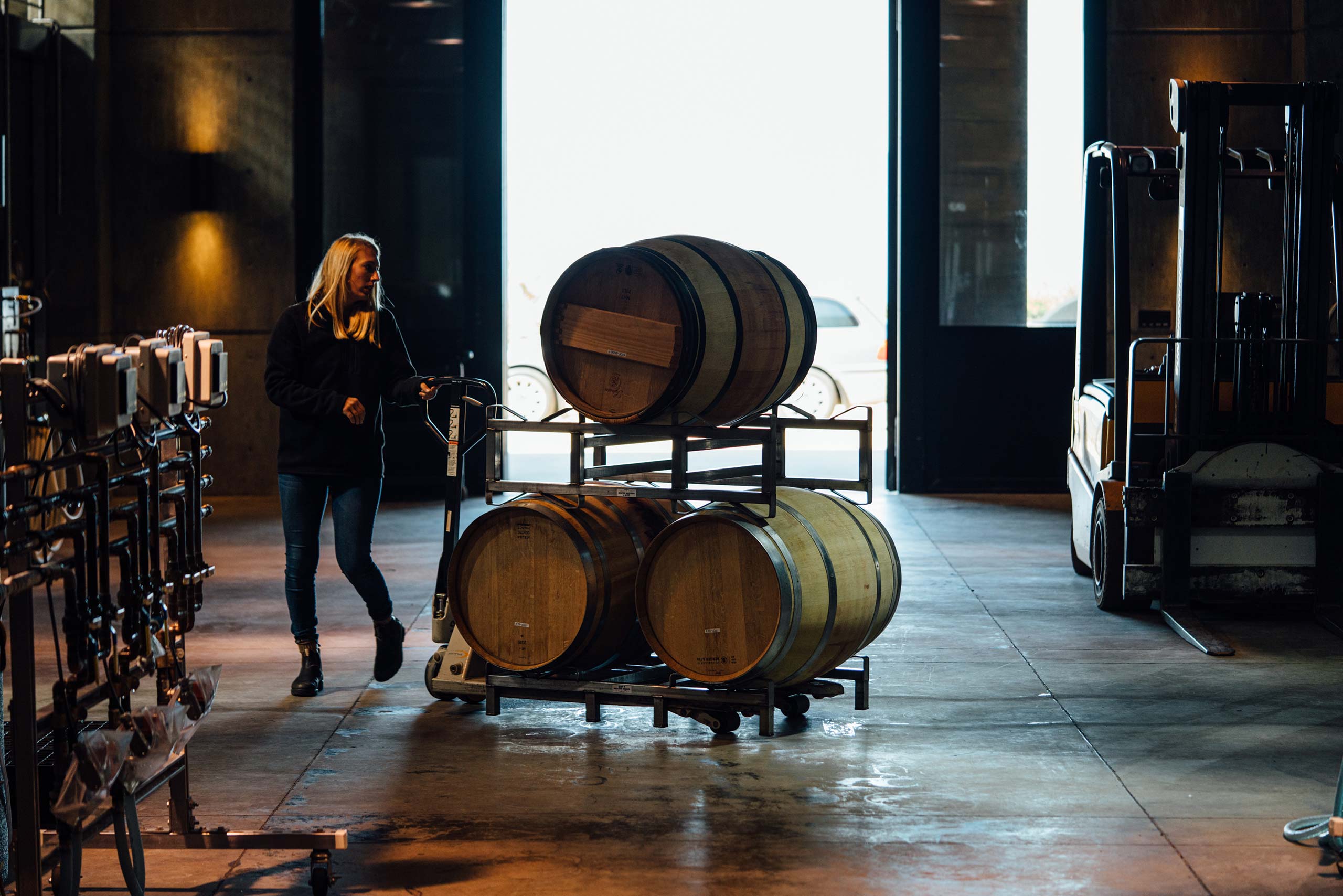 Laura moving barrels in the cellar