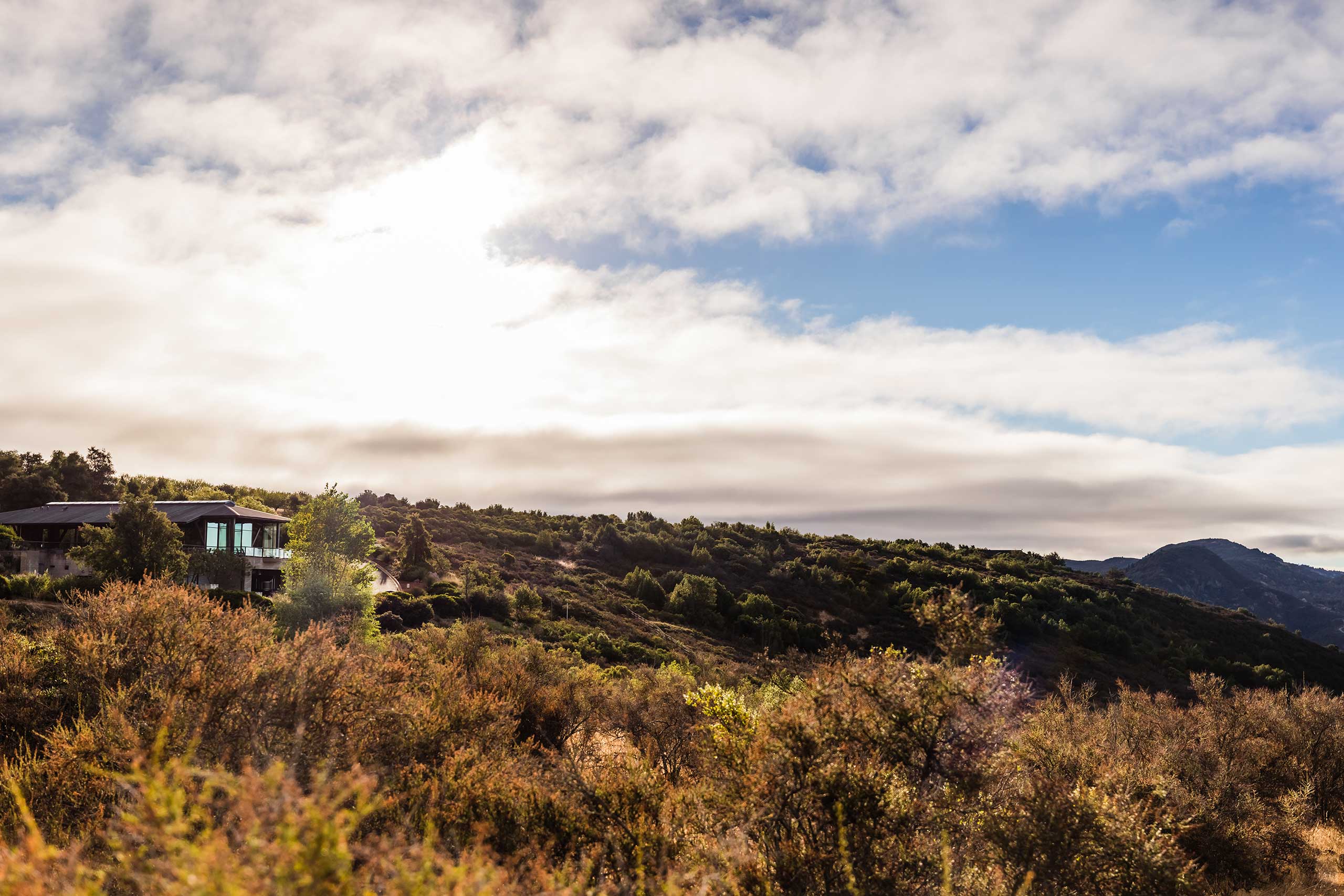 Winery exterior hillside